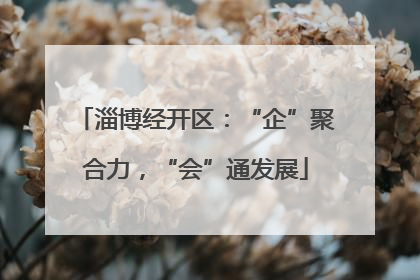 淄博经开区：“企”聚合力，“会”通发展
