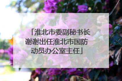 淮北市委副秘书长谢谢出任淮北市国防动员办公室主任
