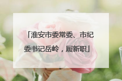 淮安市委常委、市纪委书记岳岭，履新职