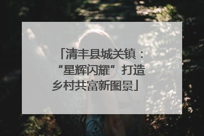 清丰县城关镇：“星辉闪耀”打造乡村共富新图景