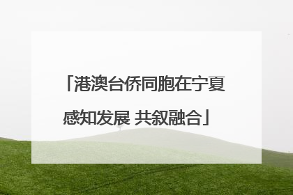 港澳台侨同胞在宁夏感知发展 共叙融合