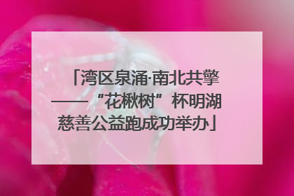 湾区泉涌·南北共擎——“花楸树”杯明湖慈善公益跑成功举办