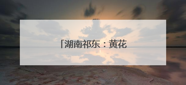 湖南祁东：黄花菜产业助农增收
