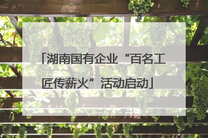 湖南国有企业“百名工匠传薪火”活动启动