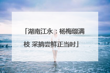 湖南江永：杨梅缀满枝 采摘尝鲜正当时
