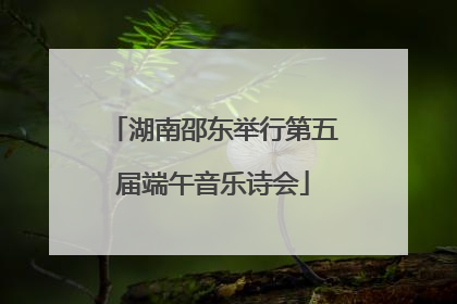 湖南邵东举行第五届端午音乐诗会