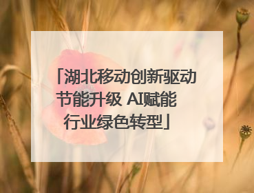 湖北移动创新驱动节能升级 AI赋能行业绿色转型