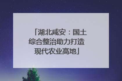湖北咸安：国土综合整治助力打造现代农业高地