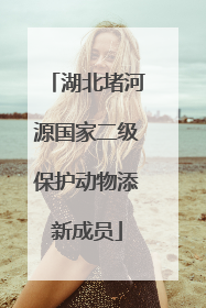 湖北堵河源国家二级保护动物添新成员