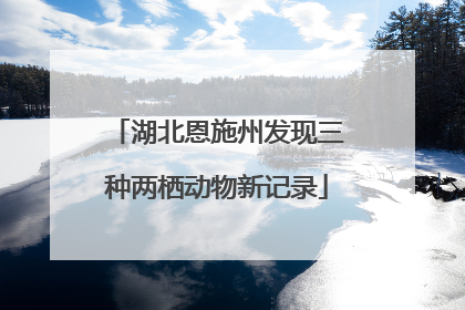 湖北恩施州发现三种两栖动物新记录
