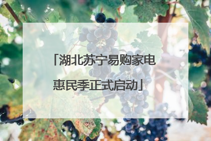 湖北苏宁易购家电惠民季正式启动