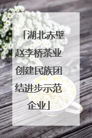 湖北赤壁赵李桥茶业创建民族团结进步示范企业