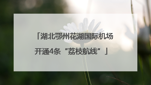湖北鄂州花湖国际机场开通4条“荔枝航线”