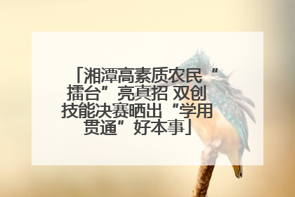 湘潭高素质农民“擂台”亮真招 双创技能决赛晒出“学用贯通”好本事