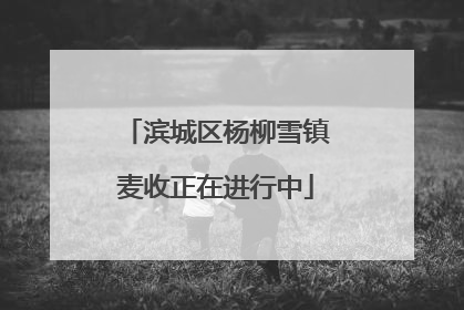 滨城区杨柳雪镇麦收正在进行中