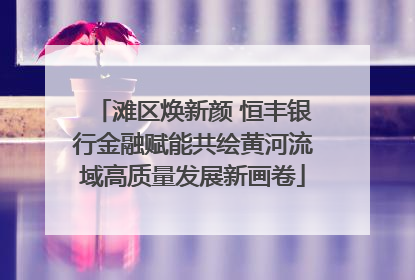 滩区焕新颜 恒丰银行金融赋能共绘黄河流域高质量发展新画卷