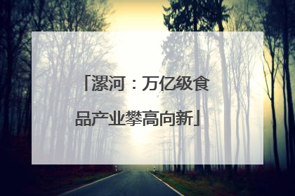 漯河：万亿级食品产业攀高向新