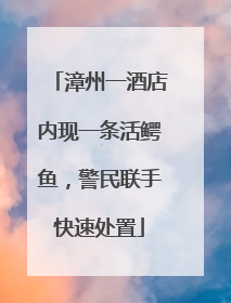 漳州一酒店内现一条活鳄鱼，警民联手快速处置