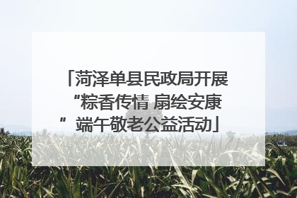 菏泽单县民政局开展“粽香传情 扇绘安康”端午敬老公益活动