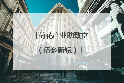 荷花产业助致富（侨乡新貌）