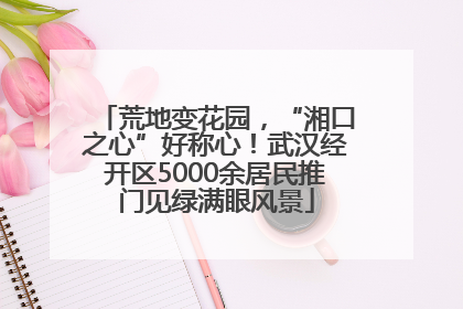 荒地变花园，“湘口之心”好称心！武汉经开区5000余居民推门见绿满眼风景