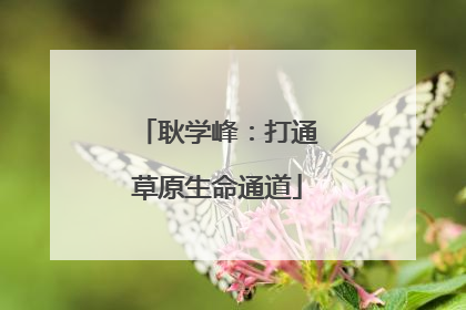 耿学峰：打通草原生命通道