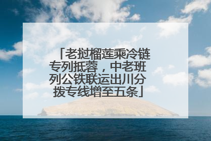 老挝榴莲乘冷链专列抵蓉，中老班列公铁联运出川分拨专线增至五条