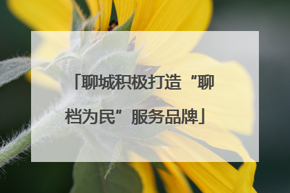 聊城积极打造“聊档为民”服务品牌