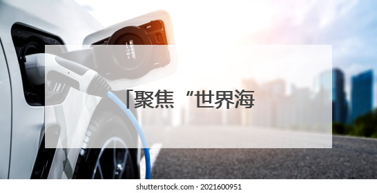 聚焦“世界海洋日”，郑州海昌再“添新”