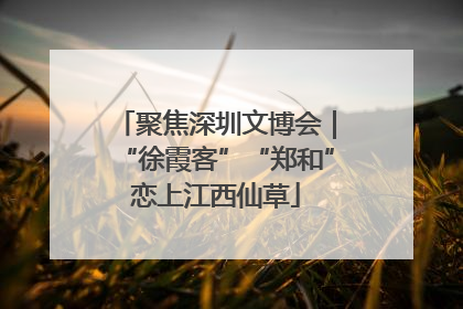 聚焦深圳文博会｜“徐霞客”“郑和”恋上江西仙草