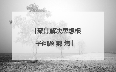 聚焦解决思想根子问题 郝 炜
