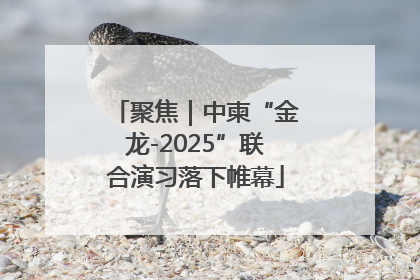 聚焦｜中柬“金龙-2025”联合演习落下帷幕