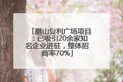 腊山复利广场项目：已吸引20余家知名企业进驻，整体招商率70%