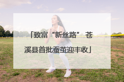 致富“新丝路” 苍溪县首批蚕茧迎丰收