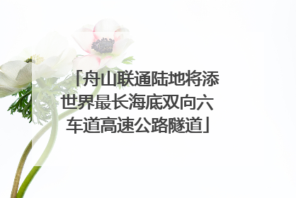 舟山联通陆地将添世界最长海底双向六车道高速公路隧道