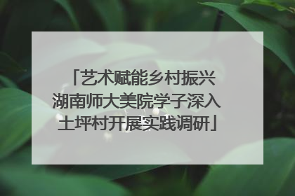 艺术赋能乡村振兴 湖南师大美院学子深入土坪村开展实践调研