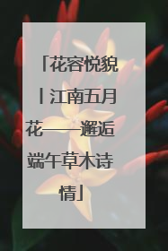 花容悦貌丨江南五月花——邂逅端午草木诗情