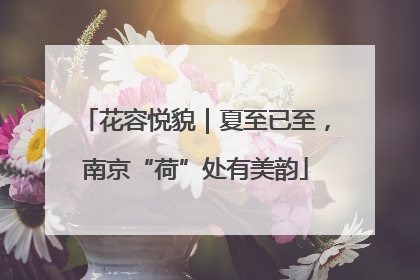 花容悦貌｜夏至已至，南京“荷”处有美韵