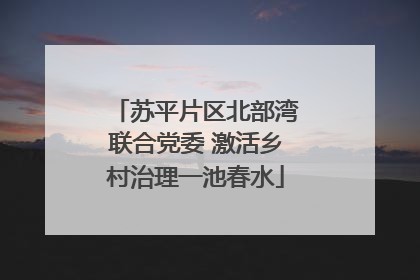 苏平片区北部湾联合党委 激活乡村治理一池春水