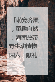 萌宠齐聚，童趣自然：海南热带野生动植物园六一献礼