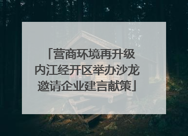 营商环境再升级 内江经开区举办沙龙邀请企业建言献策