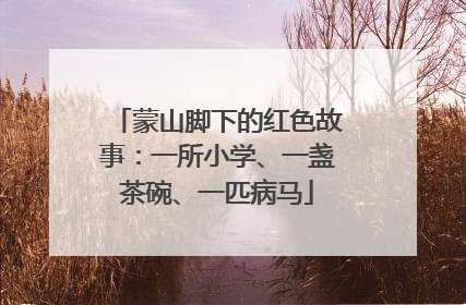 蒙山脚下的红色故事：一所小学、一盏茶碗、一匹病马