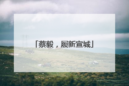 蔡毅，履新宣城