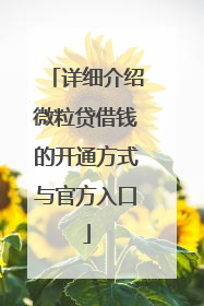 详细介绍微粒贷借钱的开通方式与官方入口