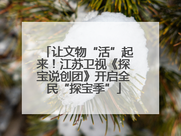 让文物“活”起来！江苏卫视《探宝说创团》开启全民“探宝季”