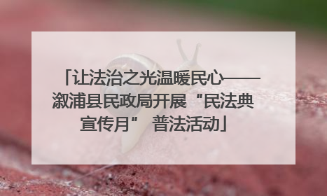 让法治之光温暖民心——溆浦县民政局开展“民法典宣传月” 普法活动