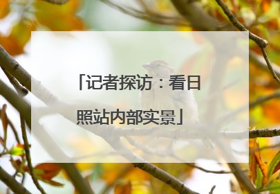 记者探访：看日照站内部实景