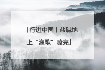 行进中国丨盐碱地上“渔歌”嘹亮