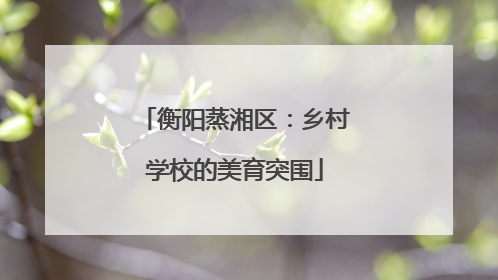 衡阳蒸湘区：乡村学校的美育突围