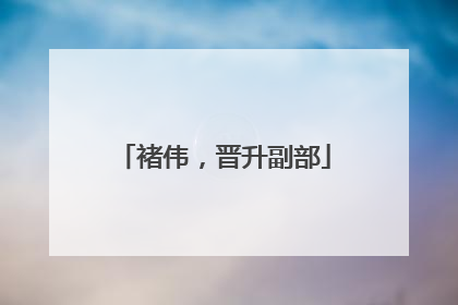 褚伟，晋升副部